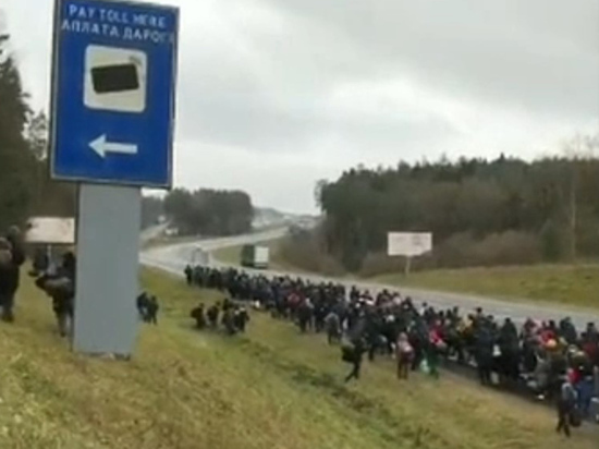 Польские войска территориальной обороны вдоль белорусской границы переведены на 6-часовую готовность