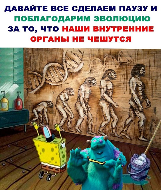 45 картинок разных 29.03.2022