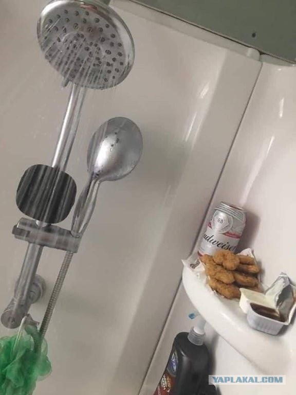 Забавные и веселые картинки