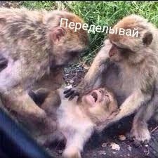 Сок одуванчика против яда крапивы
