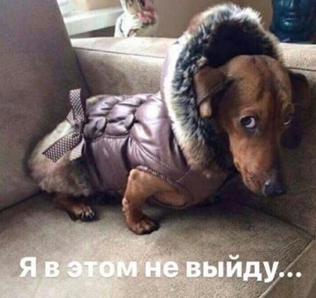 Картинки и мемы, всем хороших выходных