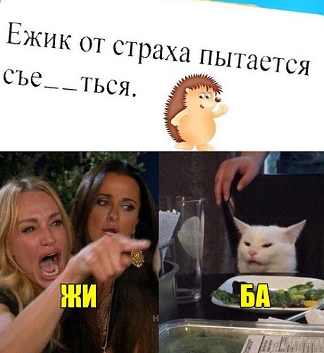 Картинки и мемы, всем хороших выходных