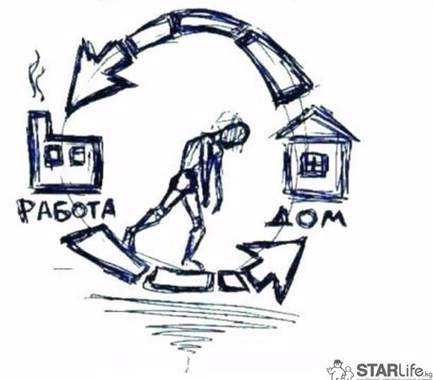 Правильный распорядок дня