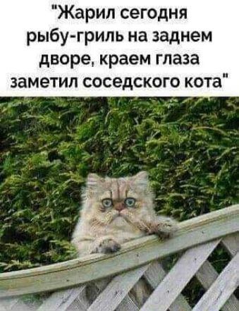 Картинки и мемы для настроения - 137