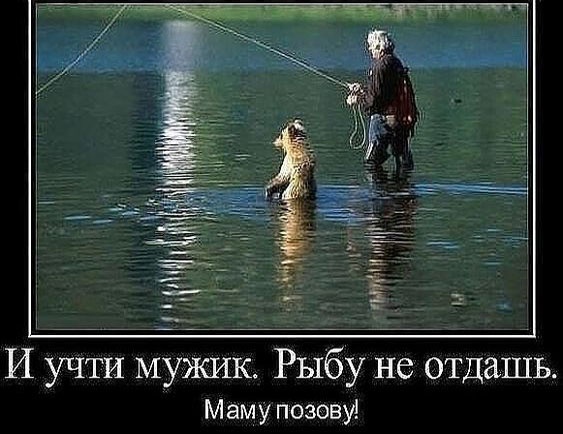 Так себе картинки 18.06.23