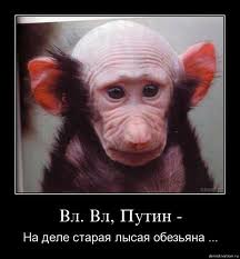 Песня российского чиновника