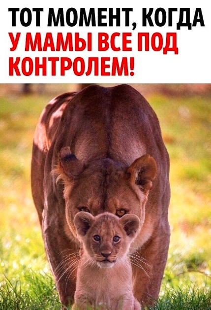 Так себе картинки 16.07.24