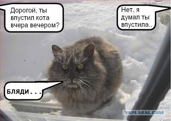 Что-то происходит на МКС