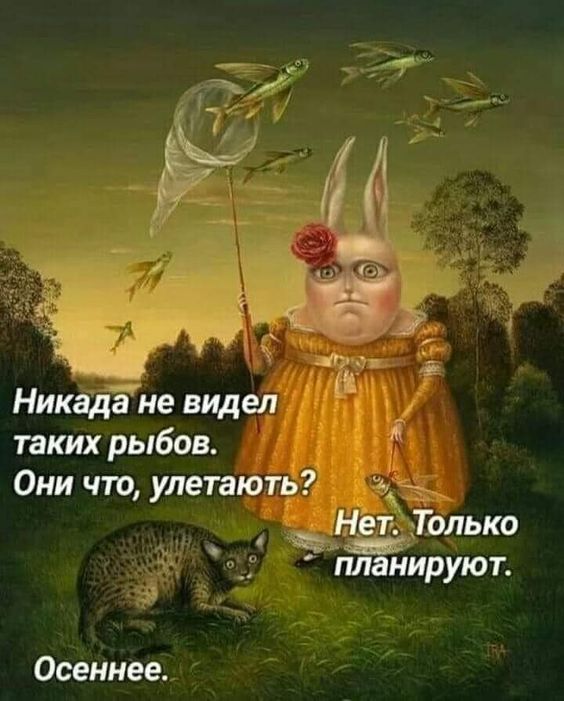 Прикольные и просто красивые картинки 08.10.2024