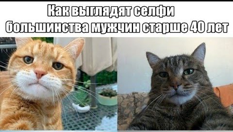 Идеальной аватарки не суще...