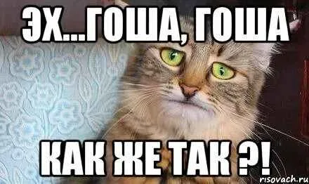 Сегодня день рождения Гоши
