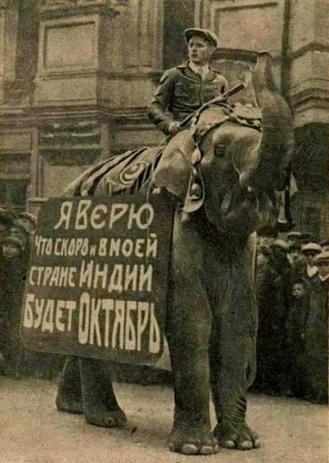 Картинки для деградации 151 (разной степени свежести)