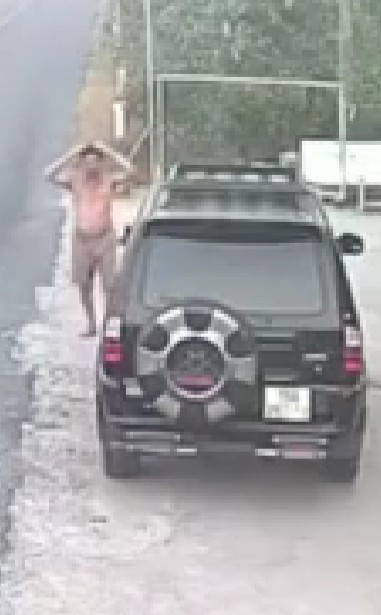 Вот такая голевая передача
