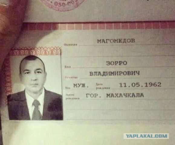 Мастер спорта