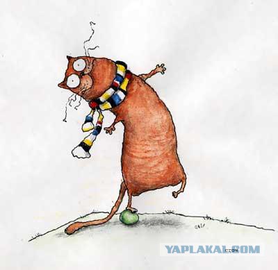 ЯПовцы - это все-таки сила