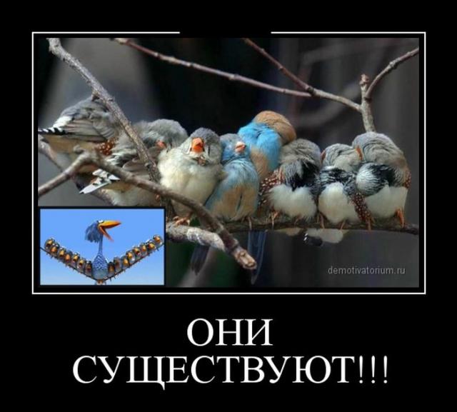 Демотиваторы.