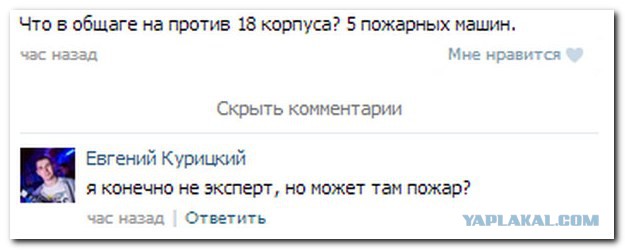 Смешные комментарии из социальных сетей (часть 5)