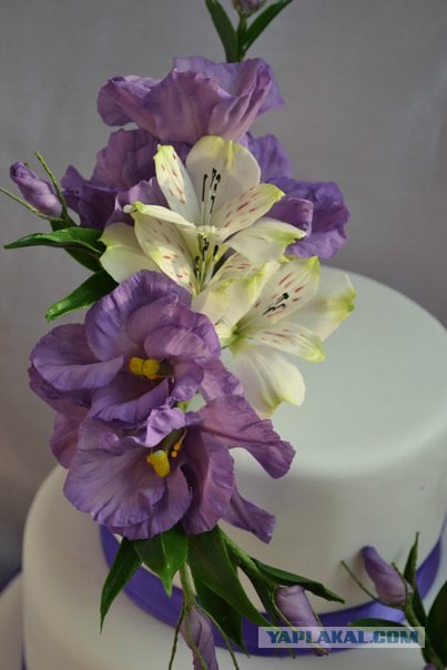 Хобби, плавно переходящее в работу