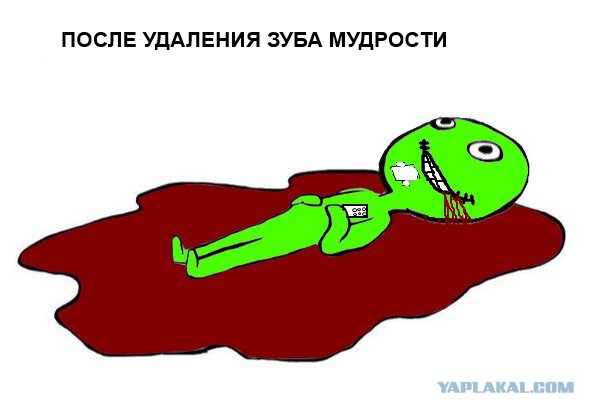 Новый мем