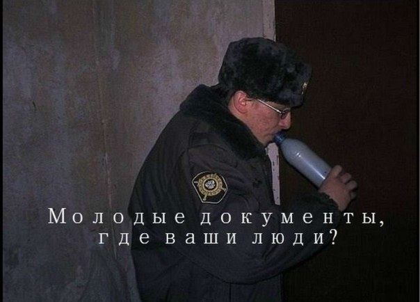 Смешные картинки с подписями 2