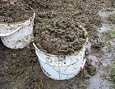 Украина. Время заготовки кизяков заканчивается