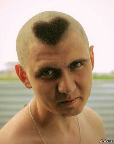 Смешные картинки