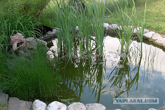 Скоро лето !  Как я  на даче водоём строил .