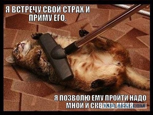 Немного картинок перед понедельником