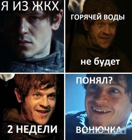 Весёлости в картинках