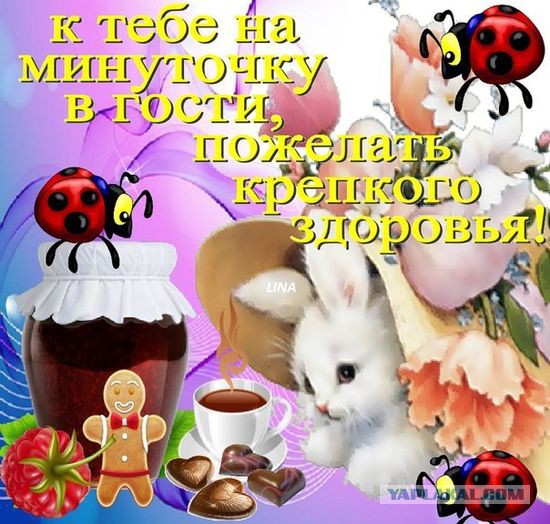 Челябинск, нужна помощь