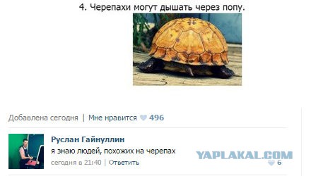 Смешные комментарии из социальных сетей