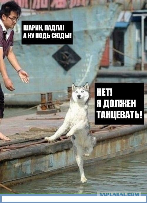 Наркоманский юмор