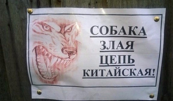 Прикольные картинки
