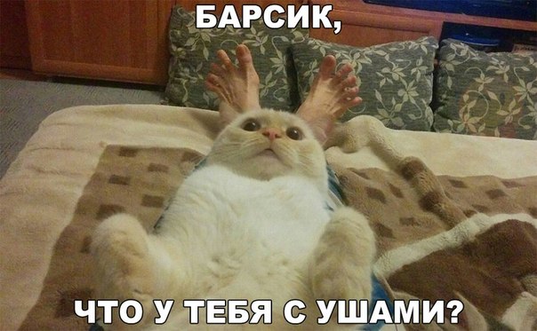 Разные картинки