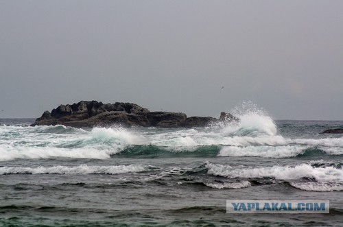 Самостоятельное путешествие в Шри-Ланку