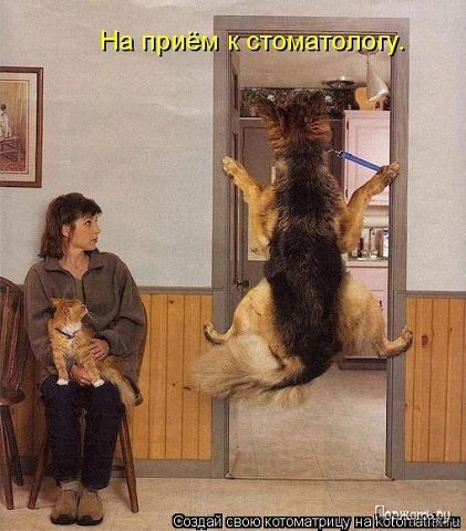 Веселые картинки