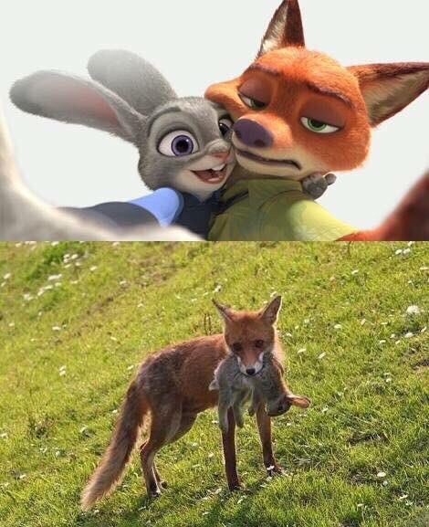 Подборка красивых картинок