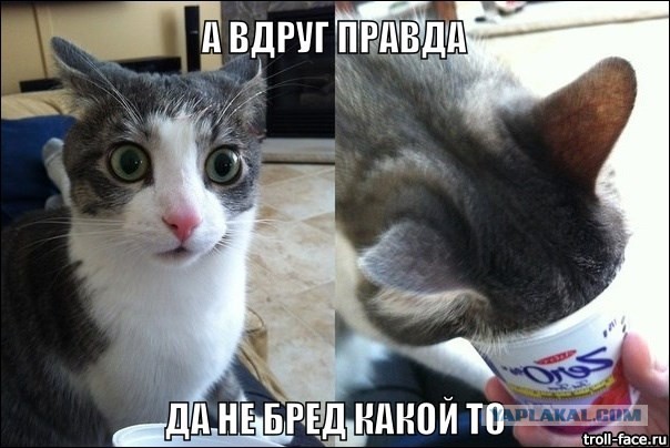 Что ни делается - все к лучшему!