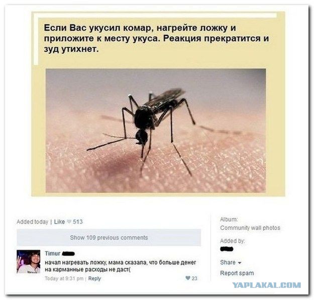 Подборка приколов