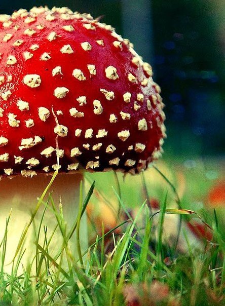 Картинки для отдыха глаз