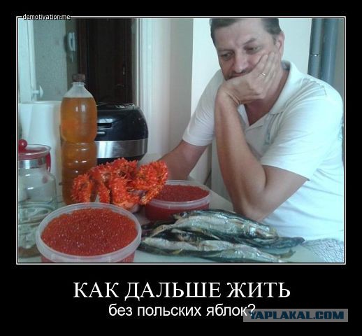 Польские садовники потребовали возобновить экспорт яблок в Россию