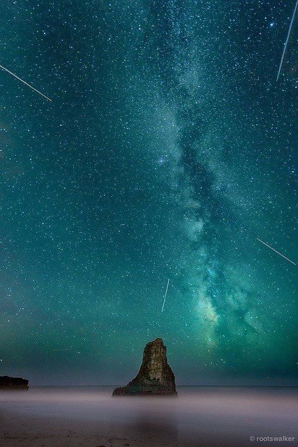 Моменты, запечатлённые на фото и просто позитив 5