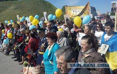 Наглость не всегда второе счастье