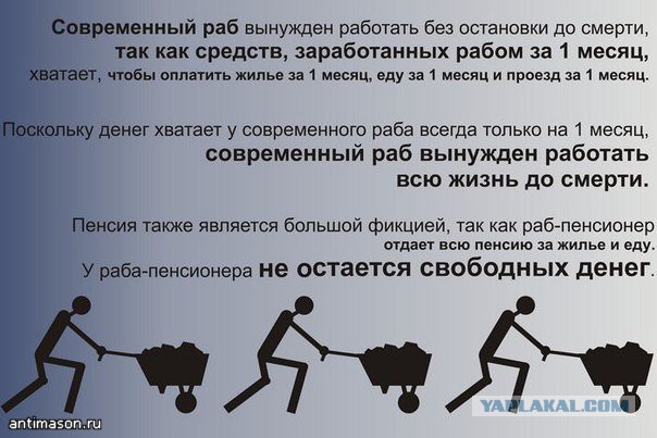 Золотая судья и русское быдло