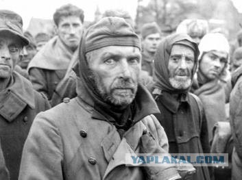 Геббельс был бы доволен