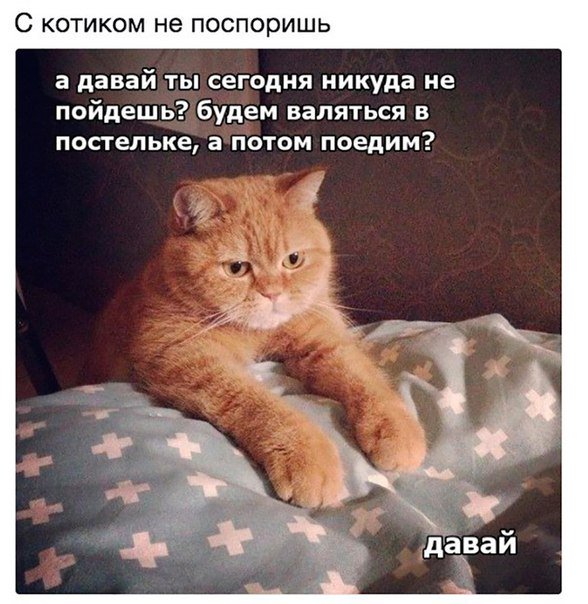О такой от юмор