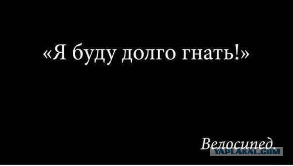 Тупик эволюции