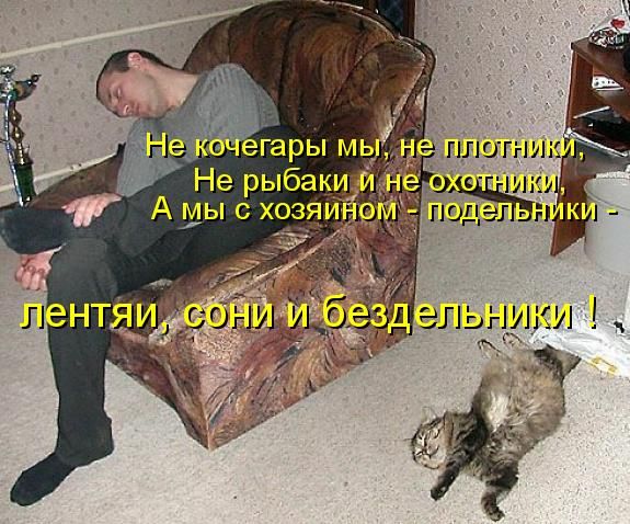 Тридцать причин обменять жену на котейку.