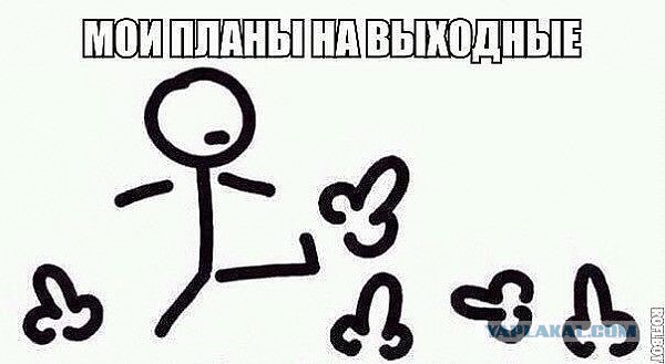 Итоги проверки пользователей