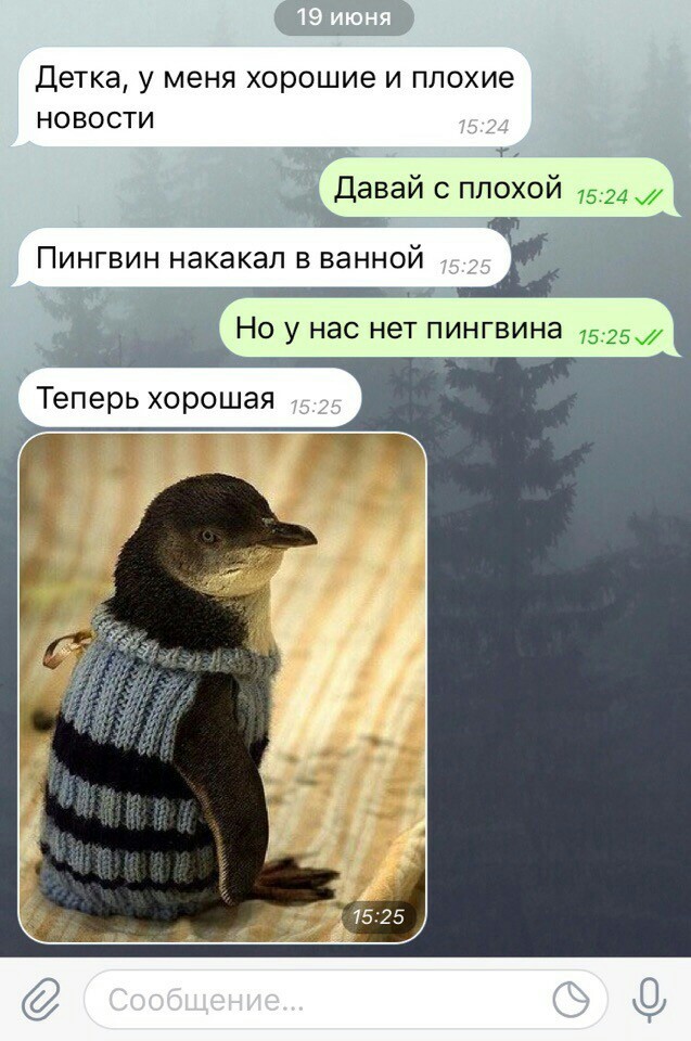 Картинки по-приколу